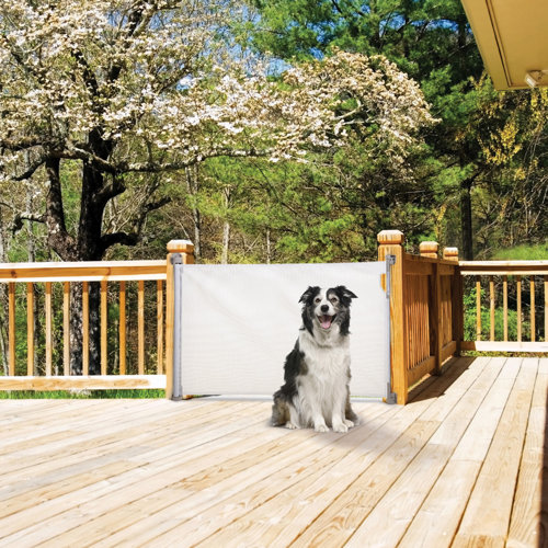 Stork® Retractable Safety Gate & Reviews Wayfair Canada